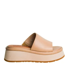 Ciabatte Luciano Barachini