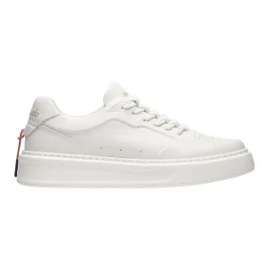 Sneakers Phoenix Barracuda Donna
