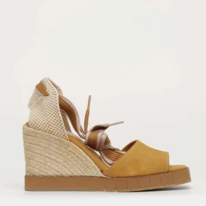 Zeppa Hedera Palomitas